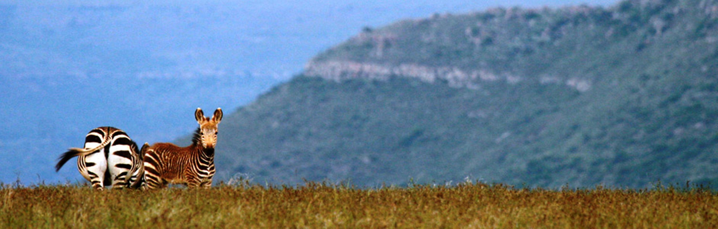 Mount Camdeboo Graaff-Reinet Exterior foto